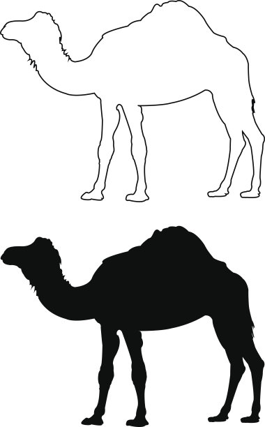骆驼轮廓图片下载
