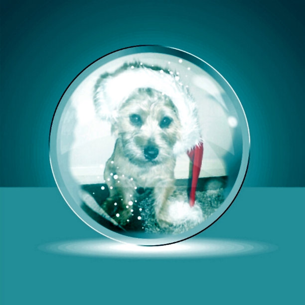 圣诞主题背景小狗雪球图片下载