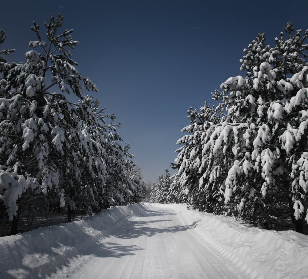 夜晚的道路穿过冬天的森林图片下载