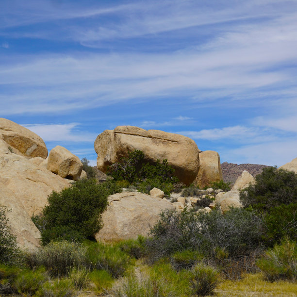 约书亚树中的岩石图片下载