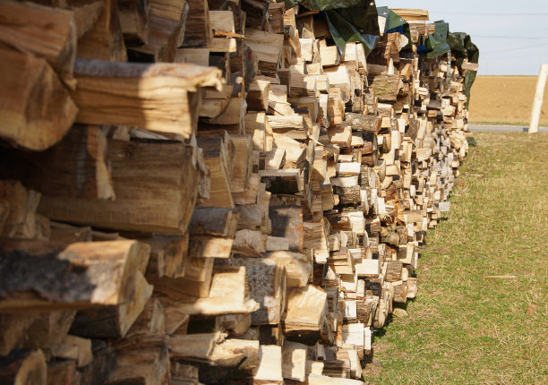 用于冬季取暖的木桩图片下载