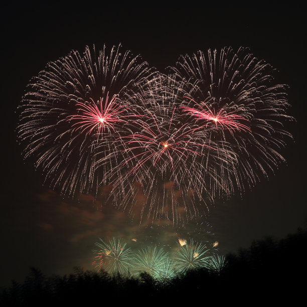 飞涨的烟花图片下载
