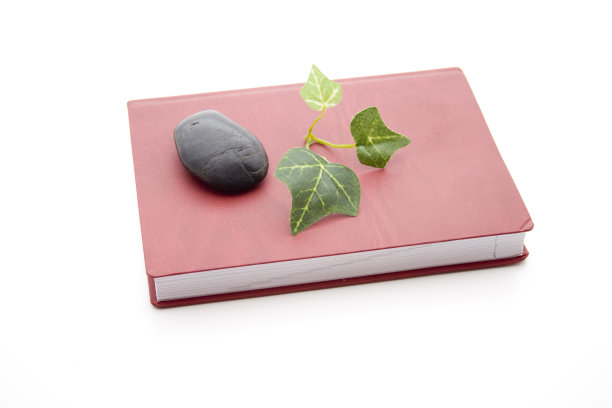 用黑色的石头和书铺设植物板材图片下载