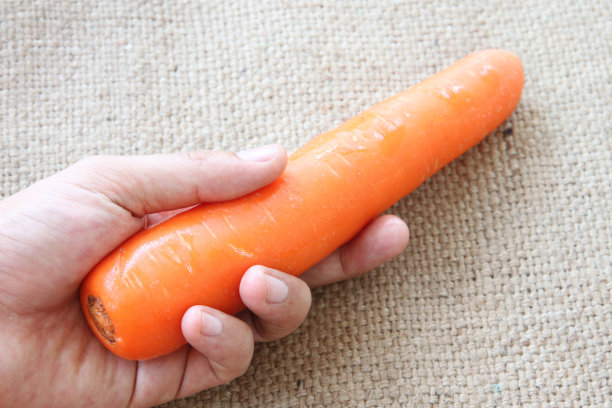 粗布上手持胡萝卜蔬菜。图片下载