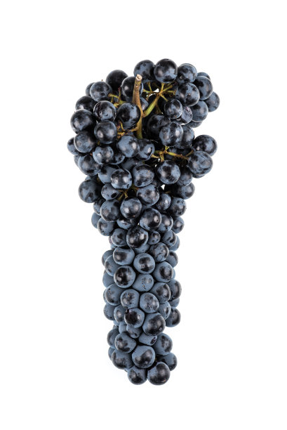 黑葡萄图片下载