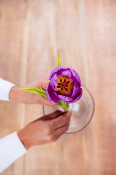 一个女人把花插在花瓶里图片下载