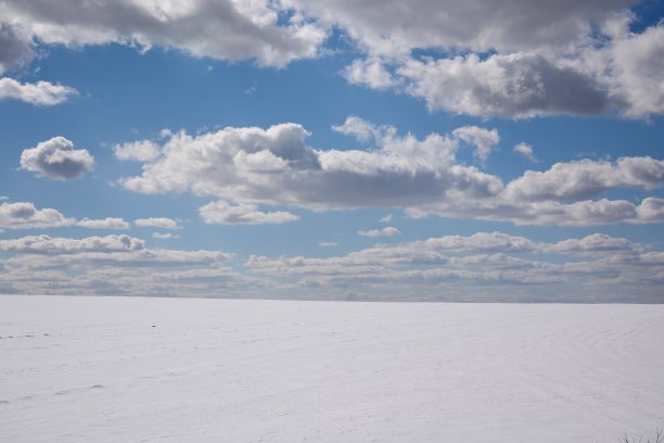 早春。最后的雪。图片下载