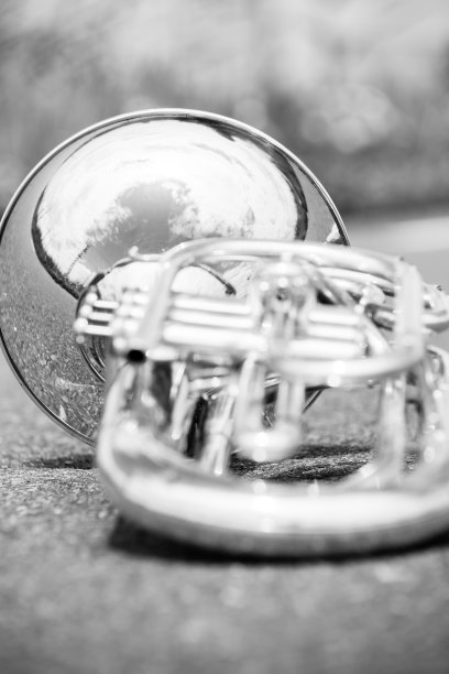 银色男中音的肖像图片下载