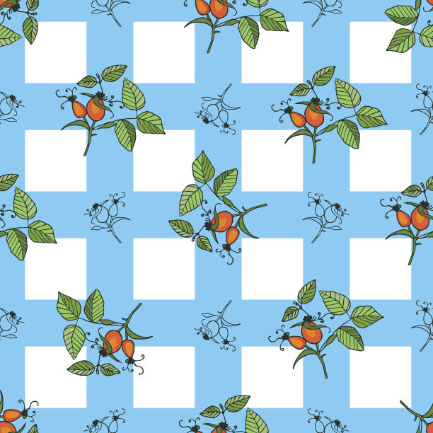 种植玫瑰果无缝图案与蓝色方块图片下载