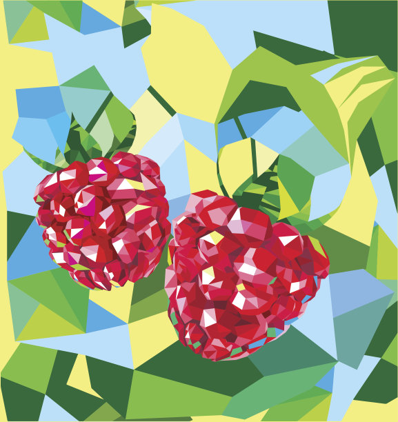 树莓低多边形矢量插图图片下载