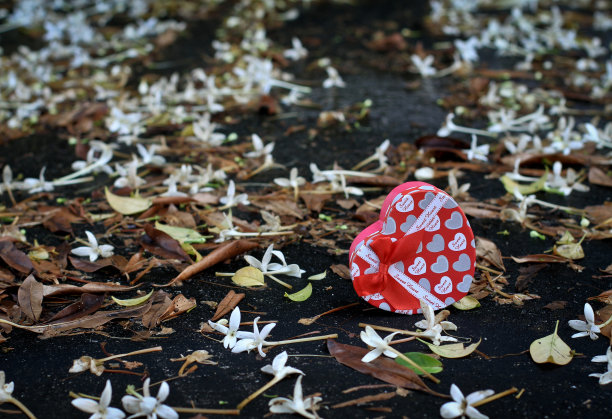 爱是美丽的图片下载