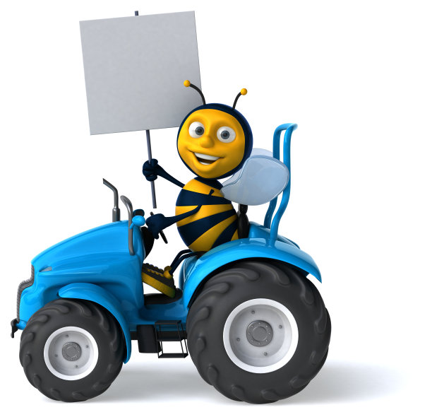 有趣的蜜蜂图片下载