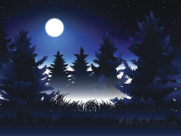 月亮和草在松林与雾素材图片