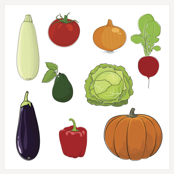 在白色背景上孤立的蔬菜组图片下载