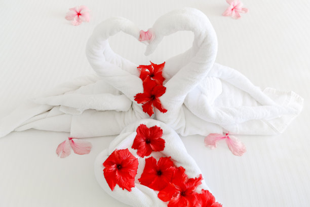 浪漫蜜月酒店套房图片下载