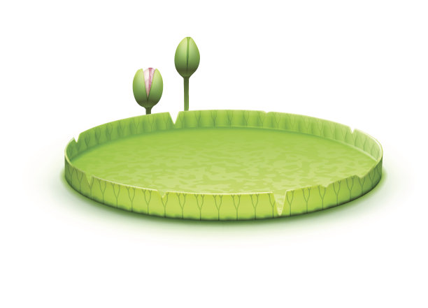 睡莲垫素材图片