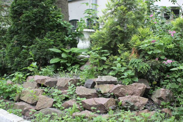 夏天花园安排图片下载