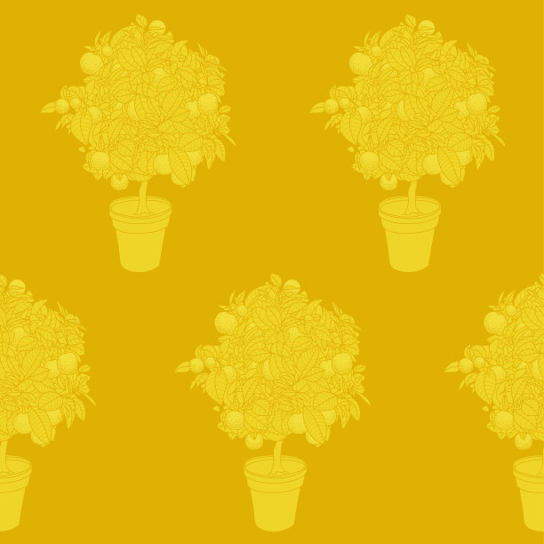 无缝花纹小橘子树在花盆中图片下载