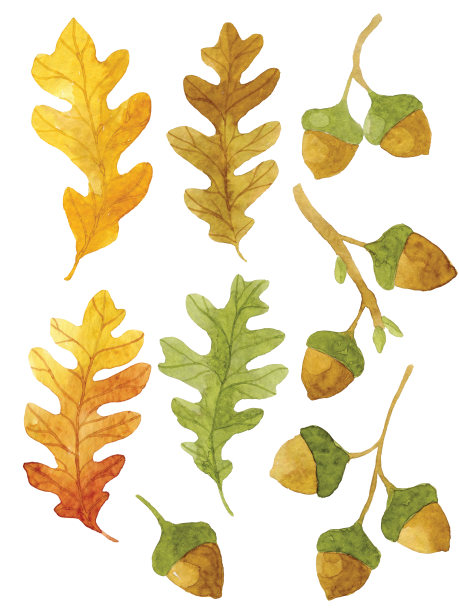 水彩秋叶图片下载
