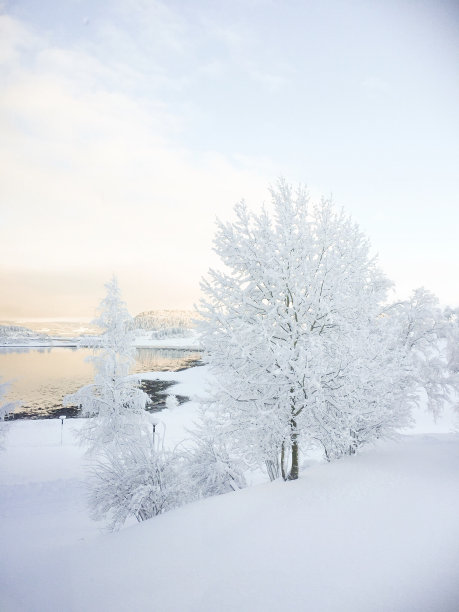 冬季仙境图片下载