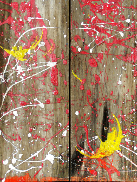 树上的颜色图片下载