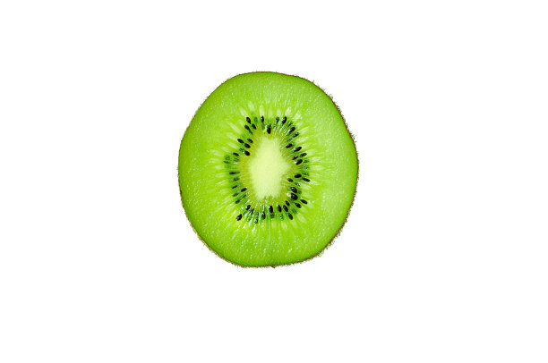 几维鸟孤立在白色背景上图片下载