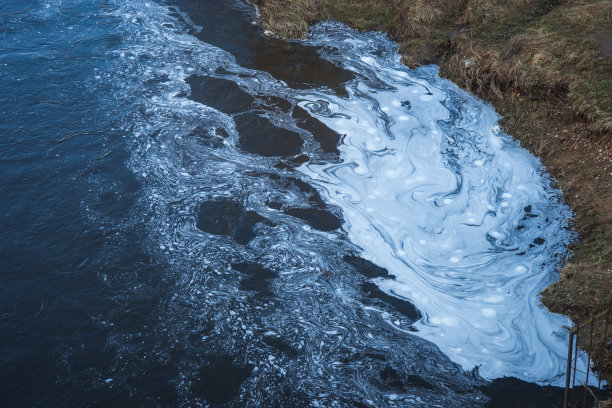 河面上白色的泡沫污渍图片下载