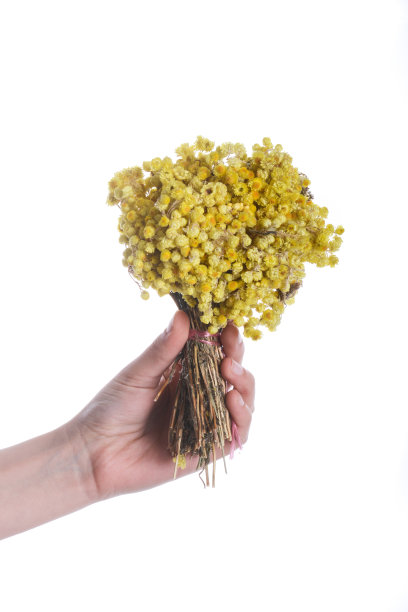 手里拿着一束花图片下载