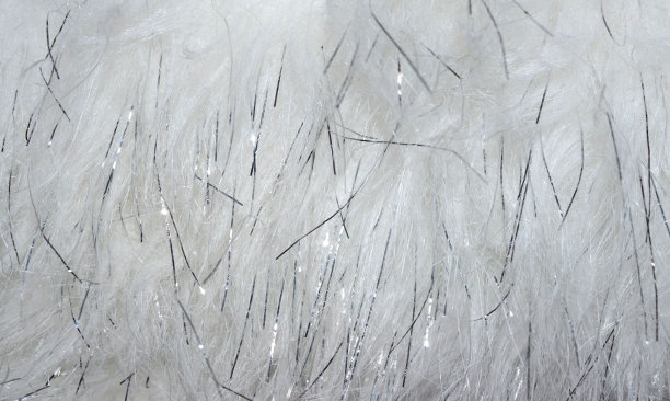 优雅的白色皮毛，闪闪发光图片下载