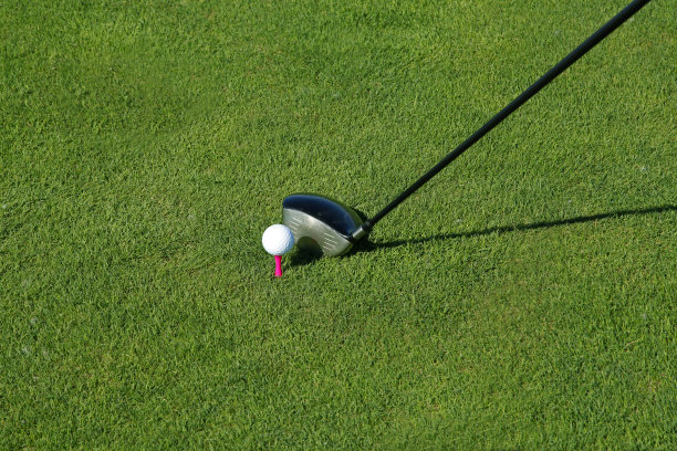 草地上的高尔夫球杆和球图片下载
