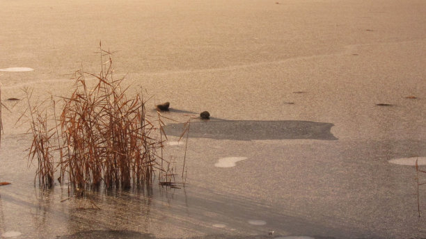 结冰湖面图片下载