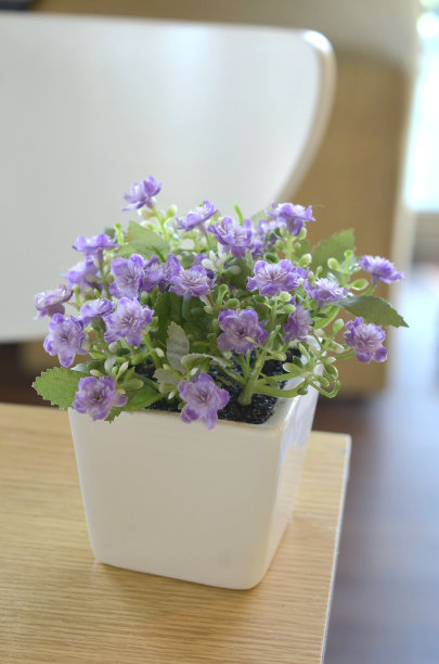 花在花瓶里图片下载