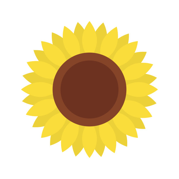 向日葵图标，孤立在白色背景素材图片