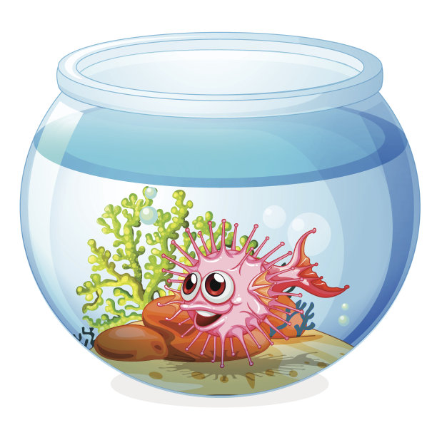 透明鱼缸里的鱼图片下载