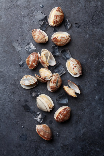 新鲜的海鲜。扇贝图片下载