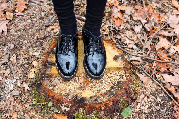 秋天的森林里，一个穿着黑鞋的女孩站在树桩上图片下载