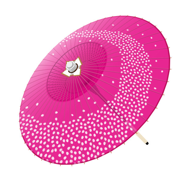 日本的伞。樱花的花瓣图片下载