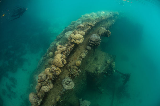 帕劳泻湖发生海难图片下载