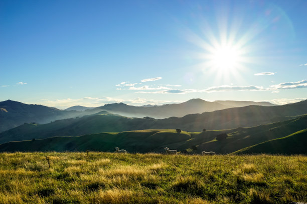 农场图片素材ID：154318744