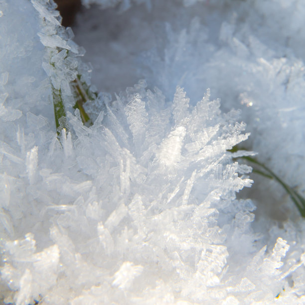 格拉沙姆 · 欣特声称水晶镜头图片下载