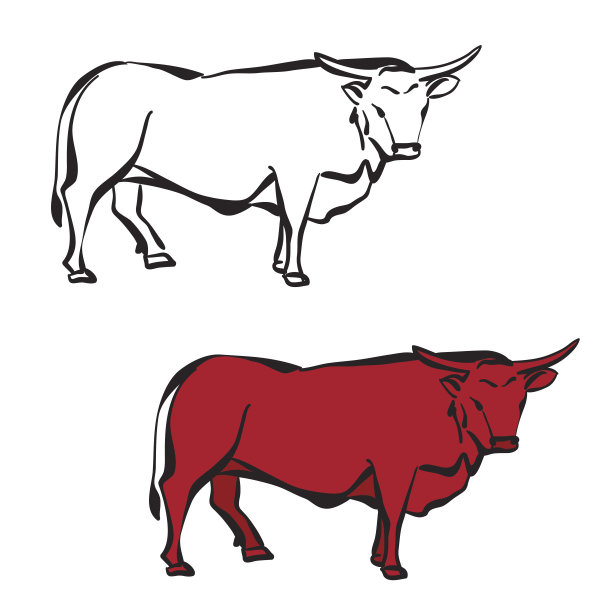 孤立的公牛剪影图片下载