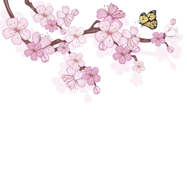 樱花，枝上有粉红色的花。图片下载