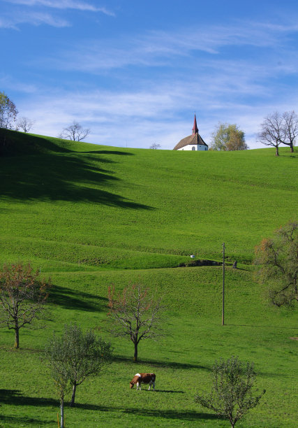 瑞士的夏日乡村景观图片下载