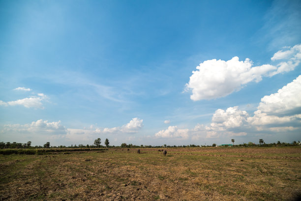 犁过的田野和多云的天空在日落图片下载