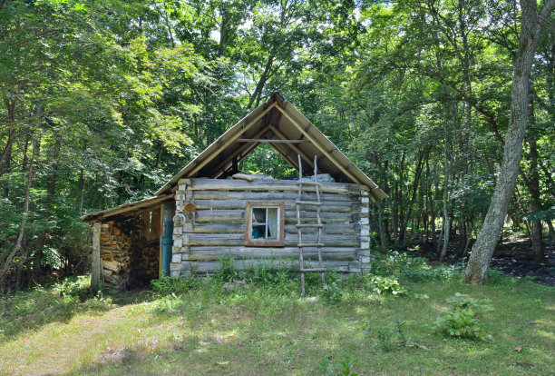 森林小木屋2图片下载