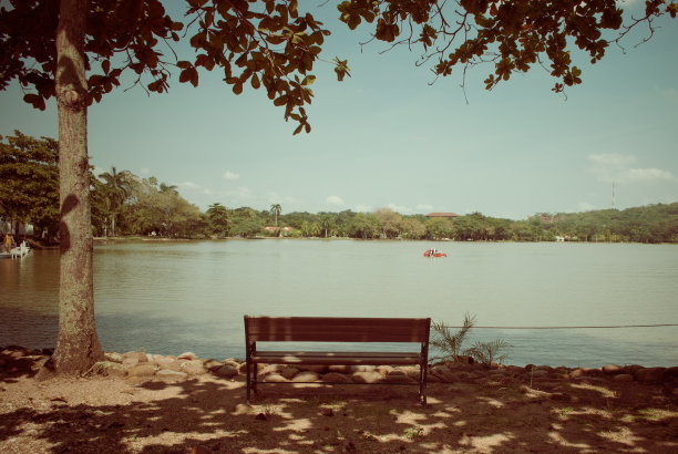树下的椅子图片下载