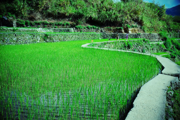 菲律宾素材图片