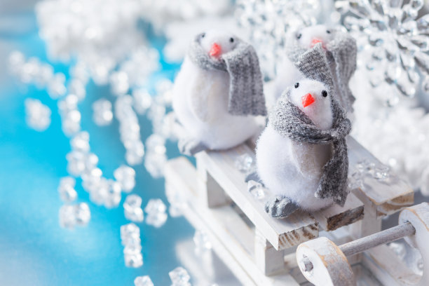 有趣的企鹅图片下载