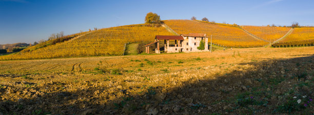 秋天的葡萄园山图片下载