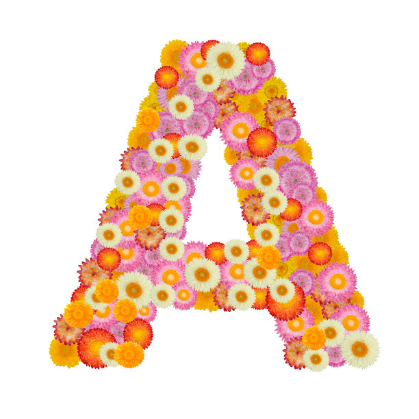白色背景上孤立有草花的字母表图片下载